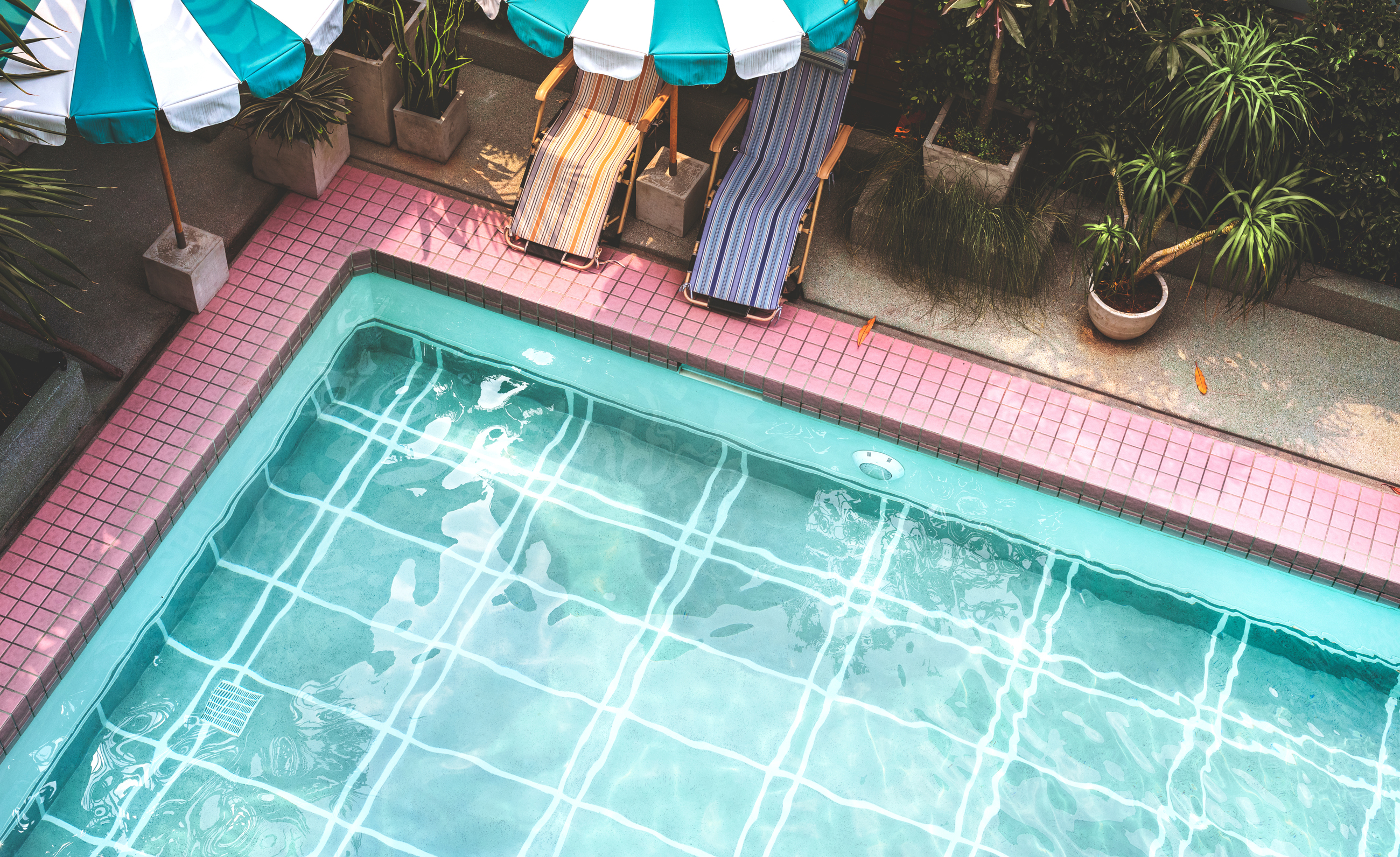 A top view of a pool