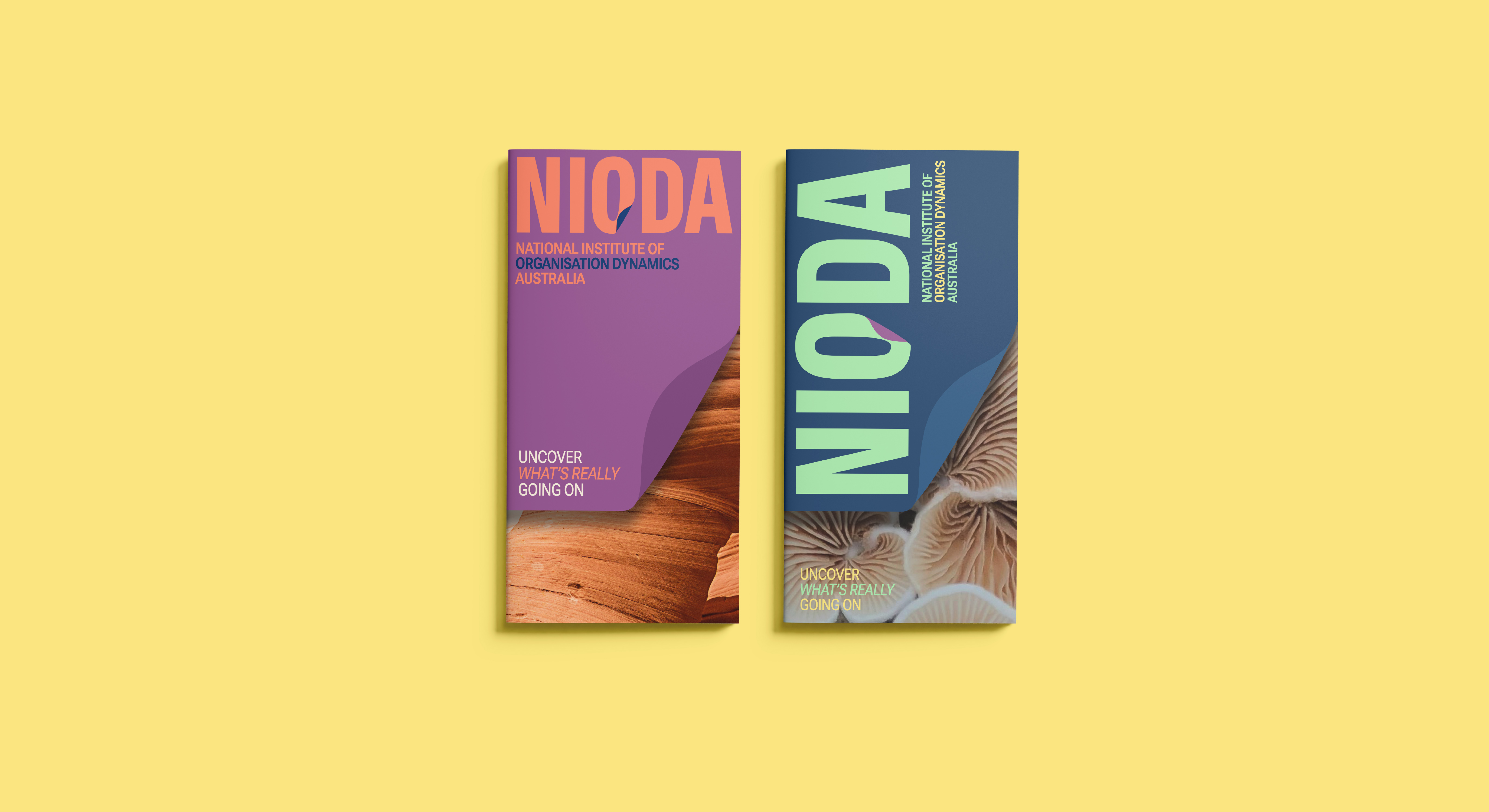 NIODA Logo